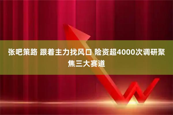 张吧策路 跟着主力找风口 险资超4000次调研聚焦三大赛道
