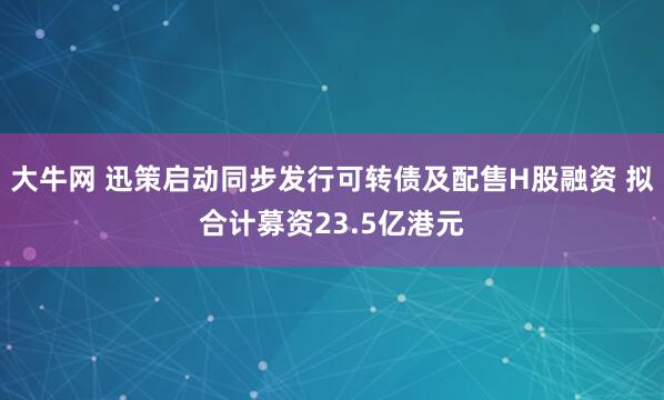 大牛网 迅策启动同步发行可转债及配售H股融资 拟合计募资23.5亿港元